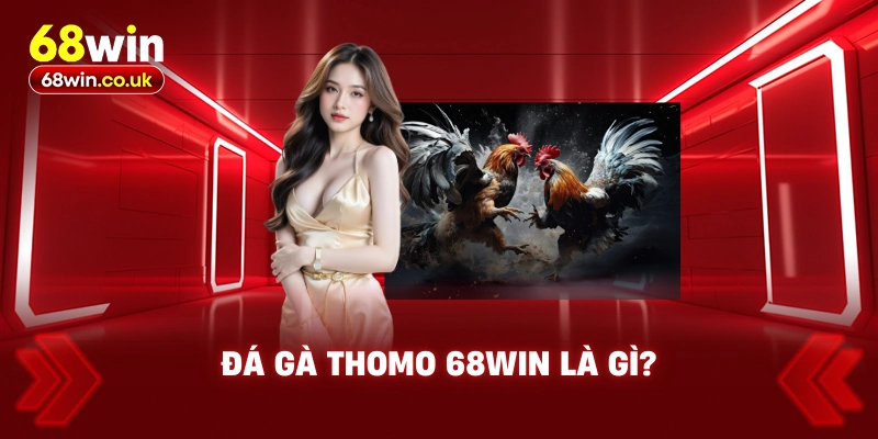 Đá Gà Thomo 68WIN Là Gì?